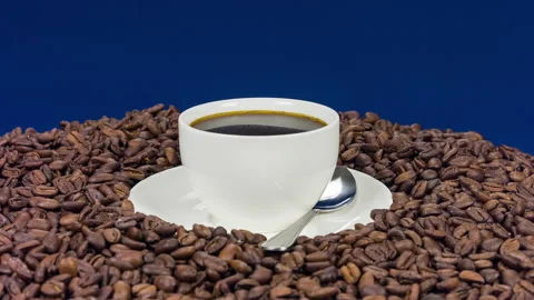 Cup of coffee on beans Stock-Footage 89596401