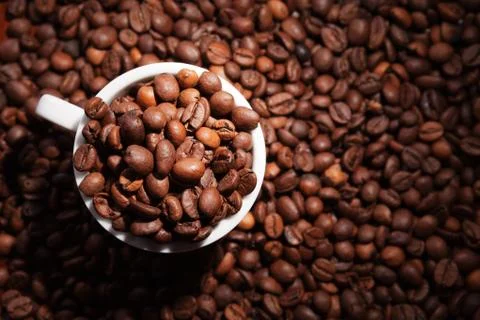 Cup with coffee beans Stock Photos