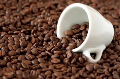 Cup on coffee beans Stock Photos