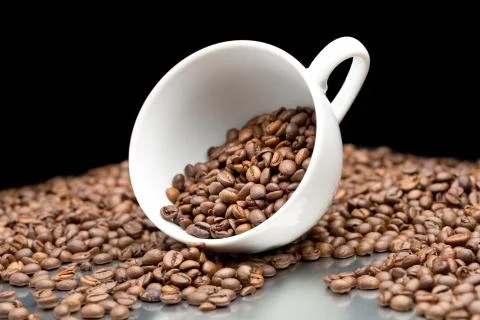 Cup with coffee beans Stock Photos