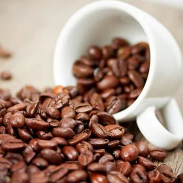 Cup with coffee beans Stock Photos