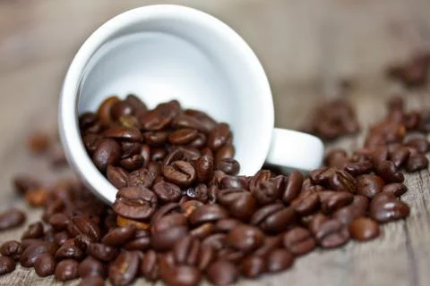 Cup with coffee beans Stock Photos