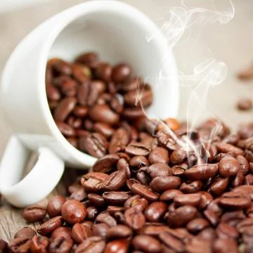 Cup with coffee beans Stock Photos