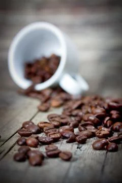 Cup with coffee beans Stock Photos