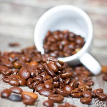 Cup with coffee beans Stock Photos