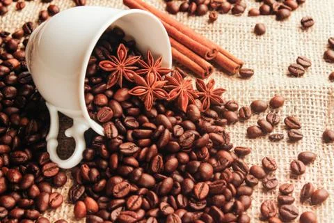 Cup with coffee beans Stock Photos