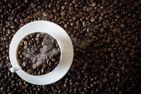 Cup of coffee on beans Stock Photos