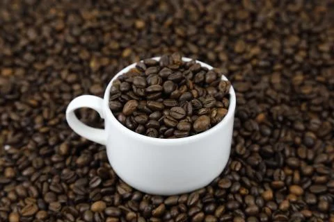 Cup with coffee beans Stock Photos