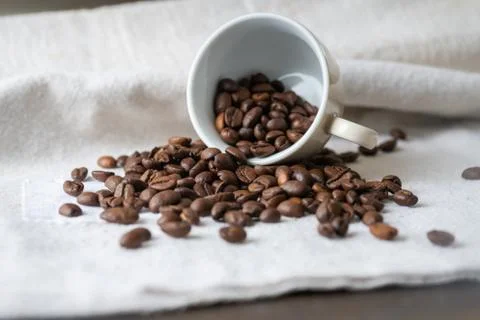 Cup with coffee beans Stock Photos