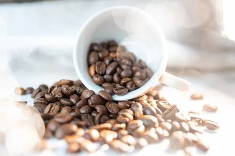 Cup with coffee beans Stock Photos