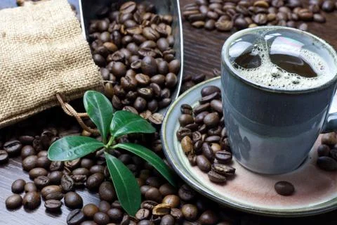 A cup of coffee with coffee bean as background 写真素材