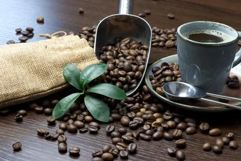 A cup of coffee with coffee bean as background Stock Photos