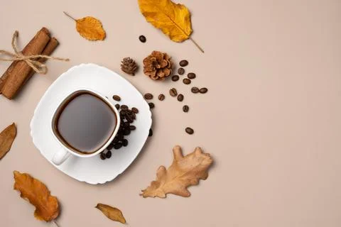 Cup of coffee, coffee beans, cones, leaves and cinnamon sticks on beige backg Stock Photos