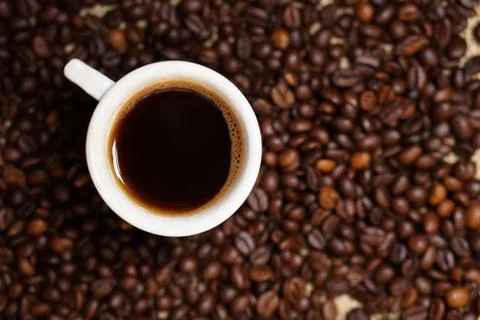 Cup of coffee on coffee beans Stock Photos