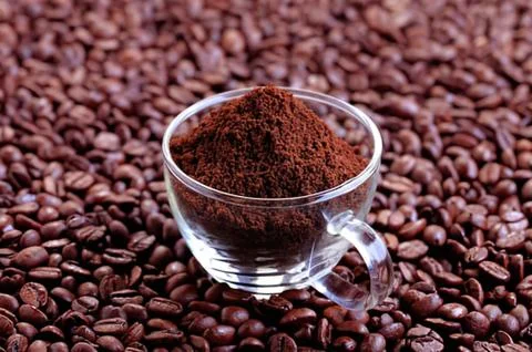 Cup of coffee on coffee beans Stock Photos