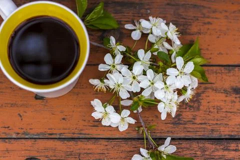 A cup of coffee on a dark, worn rustic wooden table. The composition is decor Stock Photos