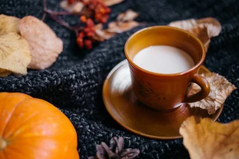 A cup of coffee on the Dars gray knitted sweater with colorful fall maple lea Stock Photos