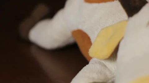 Cup of coffee espresso and a soft toy on the bar Stock-Footage 63980649