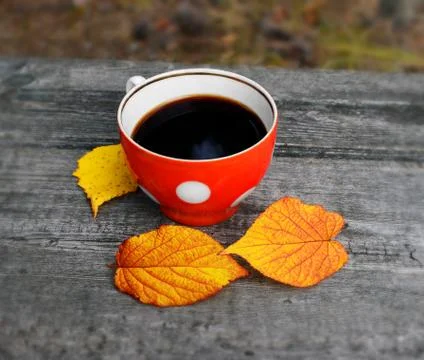 Cup of coffee in the fall Stock Photos