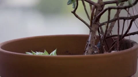 A cup of coffee Video stock 156024136