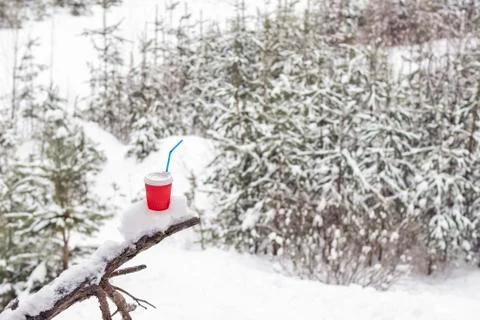 Cup of coffee in the forest Foto stock