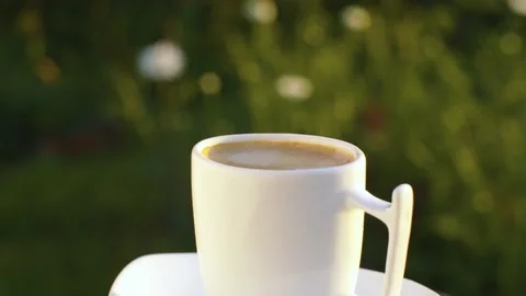 Cup of coffee in a garden Stock Footage 137601331