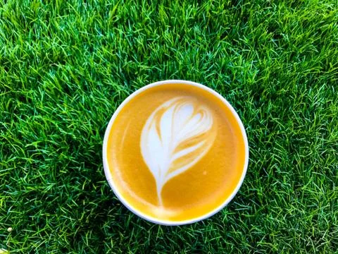 Cup of coffee on the grass Stock Photos