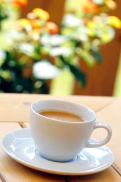 Cup of coffee Stock Photos