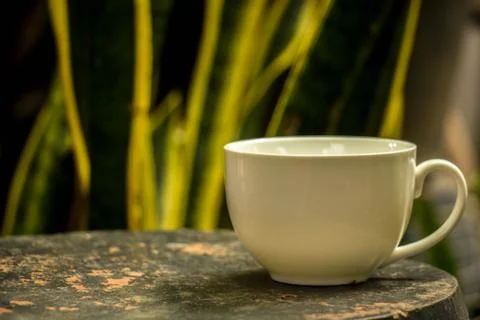 Cup of coffee Stock Photos