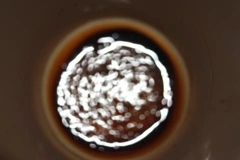 Cup of coffee Stock Photos