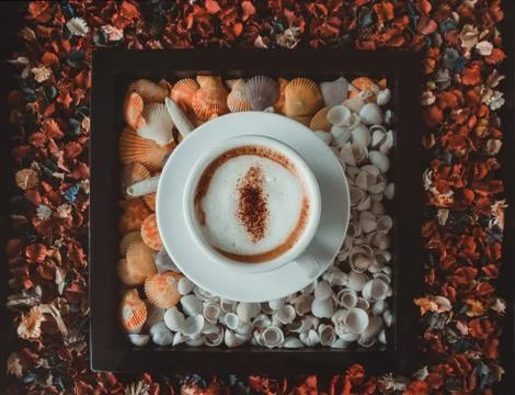 Cup of coffee Stock Photos