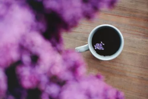 Cup of coffee Stock Photos