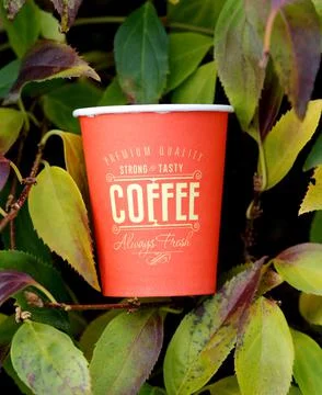 A cup of coffee Stock Photos