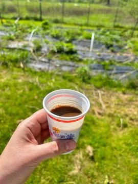 Cup of coffee Stock Photos