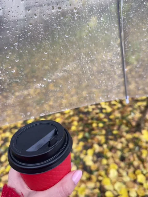 A cup of coffee in a red cup against the background of rain Stock Footage 258143905