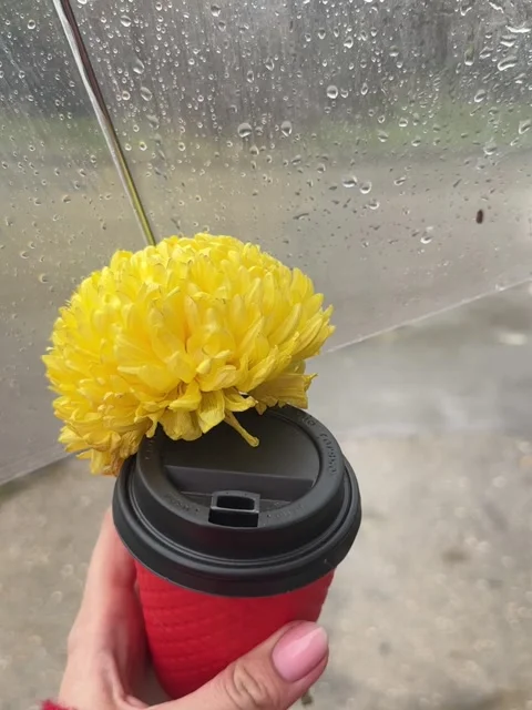 A cup of coffee in a red cup against the background of rain Stock Footage 258144179