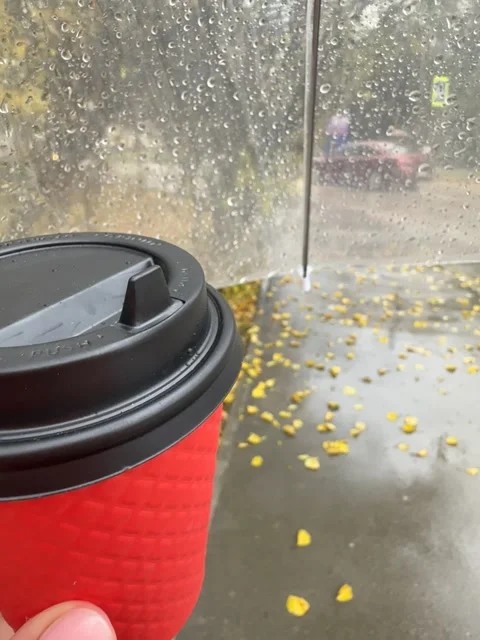 A cup of coffee in a red cup against the background of rain Stock Footage 258145016