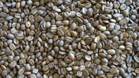 Cup Of Coffee With Roasted Beans Vidéo 96595996