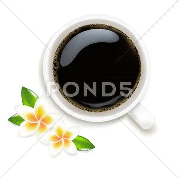 Cup of coffee vector illustration with frangipani Stock Illustration