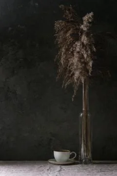 Cup of coppee Stock Photos