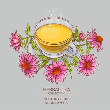Cup of echinacea tea Stock Illustration