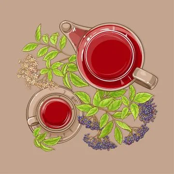 Cup of elderberry tea and teapot Illustrazione stock