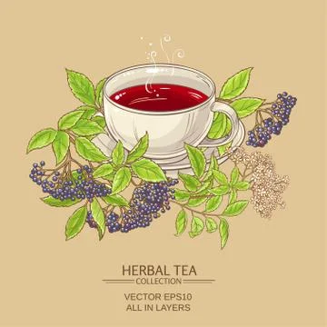 Cup of elderberry tea Stockillustratie