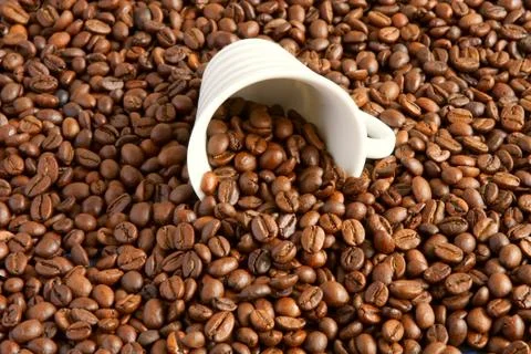 A cup filled with coffee beans Stock Photos