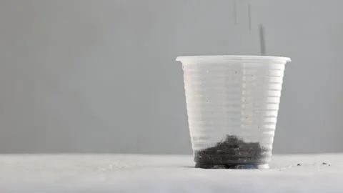 The cup is filling with soil for seedlings. Video stock 331007399