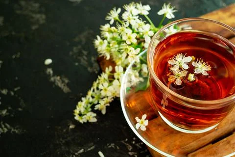A cup of flower tea with spring cherry blossom on a black background. Copy sp Stock Photos