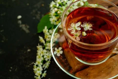 A cup of flower tea with spring cherry blossom on a black background. Copy sp Stock Photos