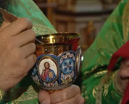 Cup Stock Footage 8963704