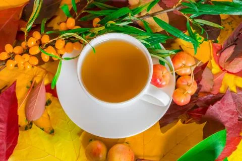 A cup of fragrant tea on the background of fallen autumn leaves and fruits Stock Photos