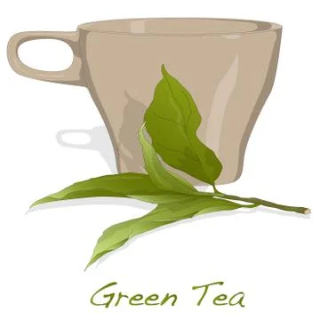 Cup of fresh green tea Stock Illustration
